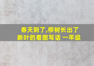 春天到了,柳树长出了新叶的看图写话 一年级